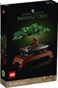 ALBERO BONSAI