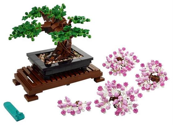 ALBERO BONSAI