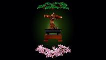 ALBERO BONSAI